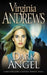 Dark Angel by Virginia Andrews