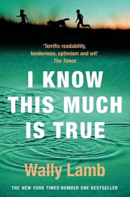 I Know This Much is True by Wally Lamb