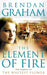 The Element Of Fire by Brendan Graham