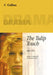 The Tulip Touch by Anne Fine, Cecily O'Neill, Rachel O'Neill