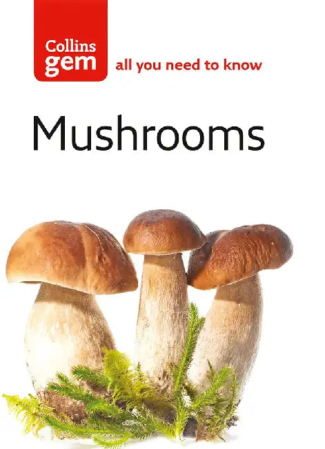 Mushrooms by Patrick Harding