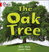 The Oak Tree by Anna Owen