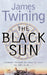 The Black Sun by James Twining