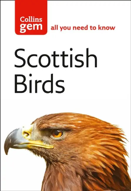 Scottish Birds by Valerie Thom