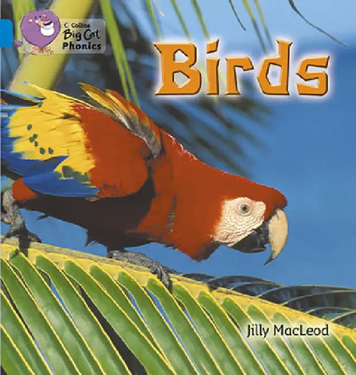 Birds by Jilly McLeod