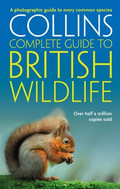 British Wildlife by Paul Sterry