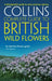 British Wild Flowers by Paul Sterry