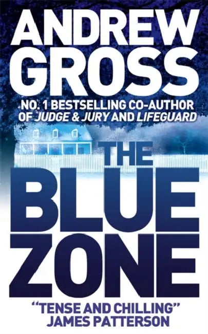 The Blue Zone by Andrew Gross