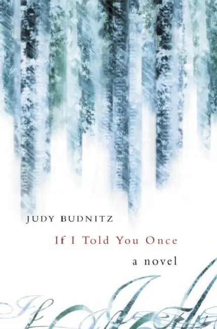 If I Told You Once by Judy Budnitz