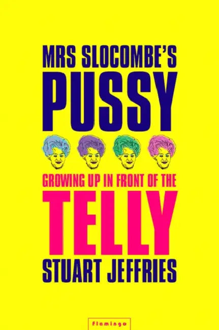 Mrs Slocombe’s Pussy: Growing Up in Front of the Telly by Stuart Jeffries