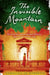 The Invisible Mountain by Carolina De Robertis