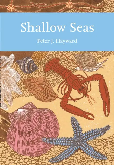 Shallow Seas by Peter Hayward