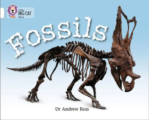 Fossils by Andrew Ross