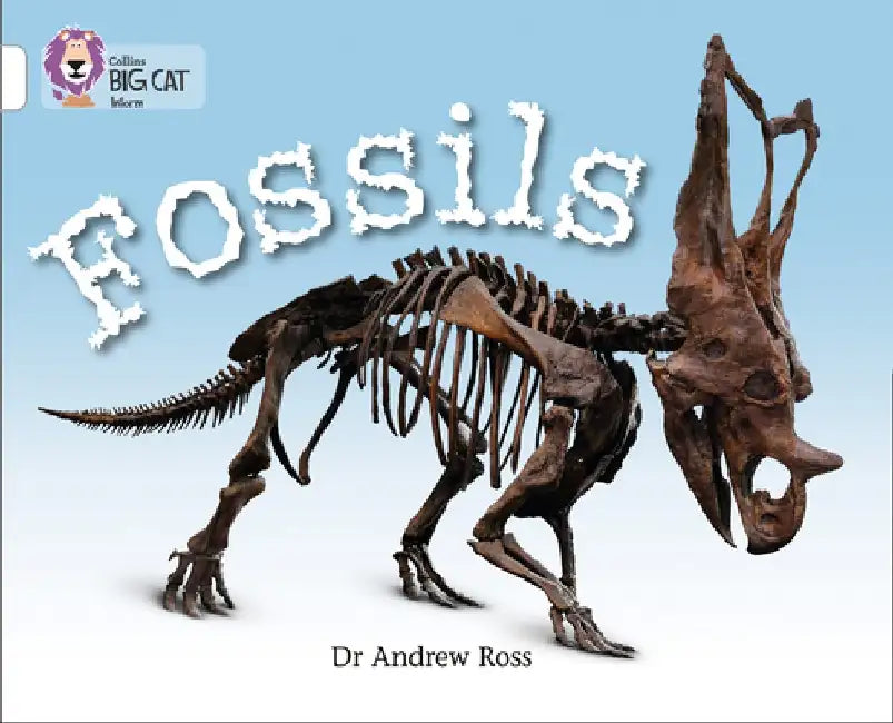 Fossils by Andrew Ross
