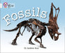 Fossils by Andrew Ross