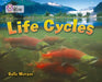 Life Cycles by Sally Morgan