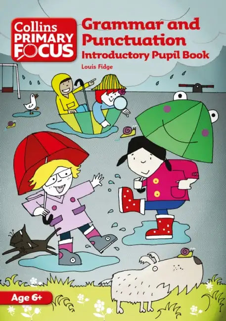 Grammar and Punctuation: Introductory Pupil Book by Louis Fidge