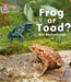 Frog or Toad? by Sue Barraclough