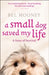 A Small Dog Saved My Life by Bel Mooney