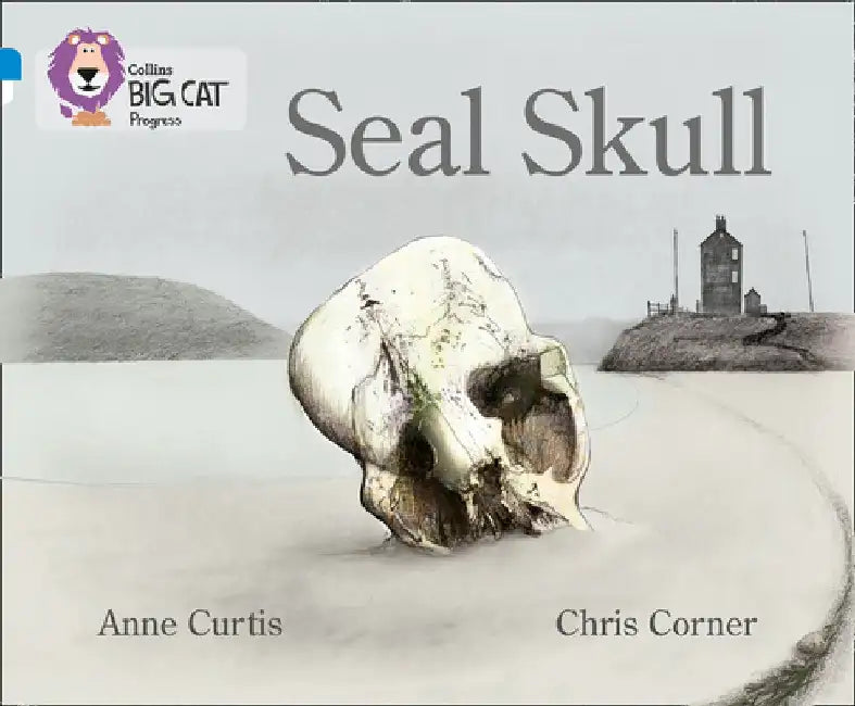 Seal Skull by Anne Curtis