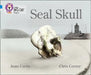 Seal Skull by Anne Curtis