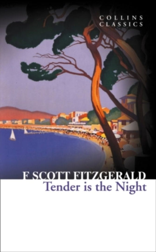 Tender is the Night by F. Scott Fitzgerald