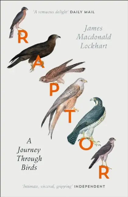 Raptor by James Macdonald Lockhart