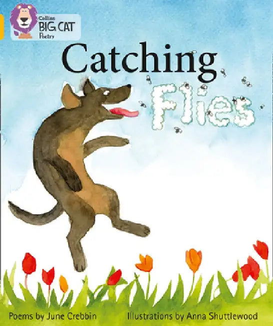 Catching Flies by June Crebbin