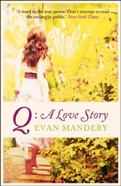 Q: A Love Story by Evan Mandery