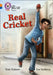 Real Cricket by Tom Palmer