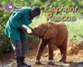Elephant Rescue by Louise A. Spilsbury