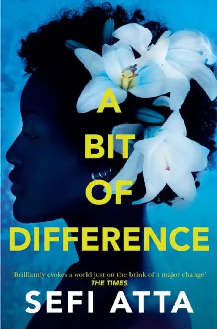A Bit of Difference by Sefi Atta