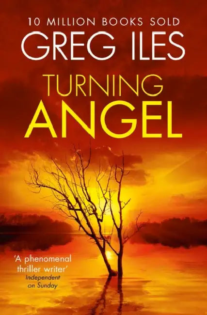 Turning Angel by Greg Iles