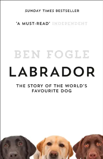 Labrador by Ben Fogle