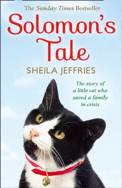 Solomon’s Tale by Sheila Jeffries