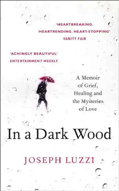 In a Dark Wood: A Memoir of Grief, Healing and the Mysteries of Love by Joseph Luzzi