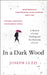 In a Dark Wood: A Memoir of Grief, Healing and the Mysteries of Love by Joseph Luzzi