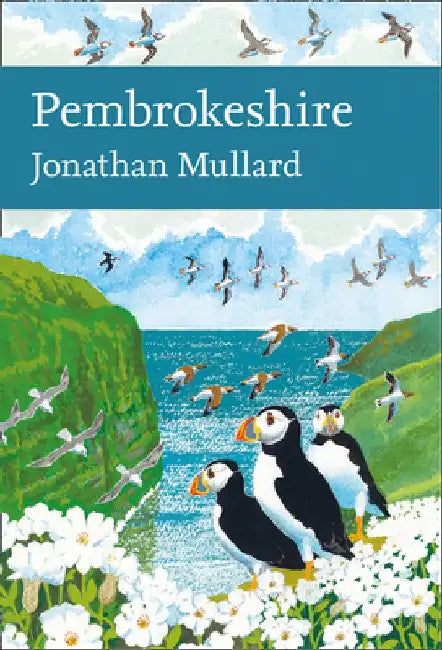 Pembrokeshire by Jonathan Mullard