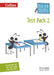 Busy Ant Maths - Test Pack 2 by Peter Clarke