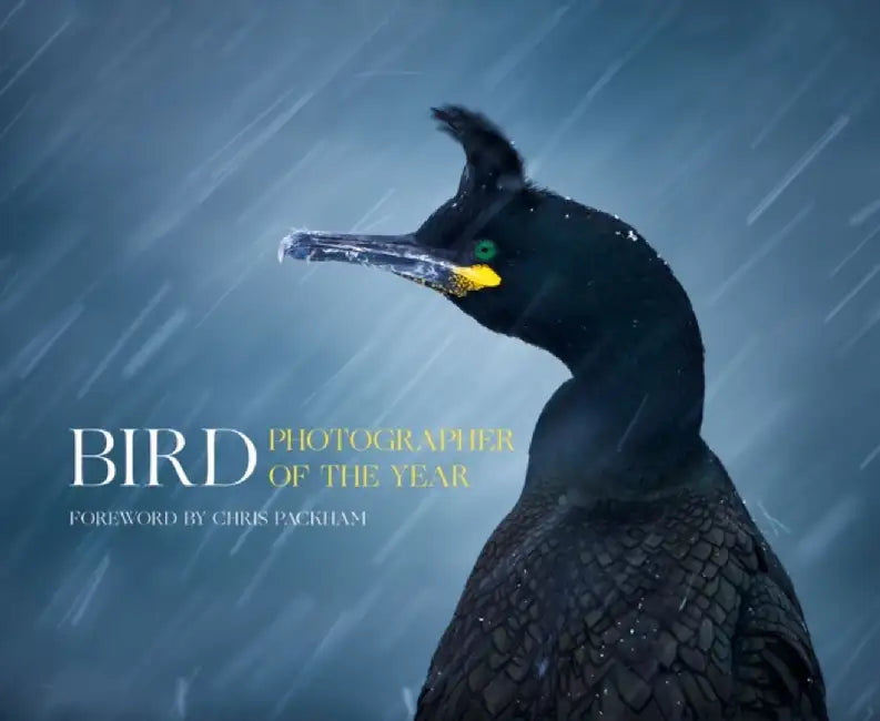 Bird Photographer of the Year by Bird Photographer of the Year