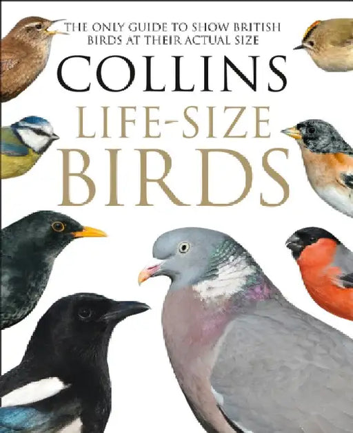 Collins Life-Size Birds: The Only Guide to Show British Birds at Their Actual Size by Paul Sterry