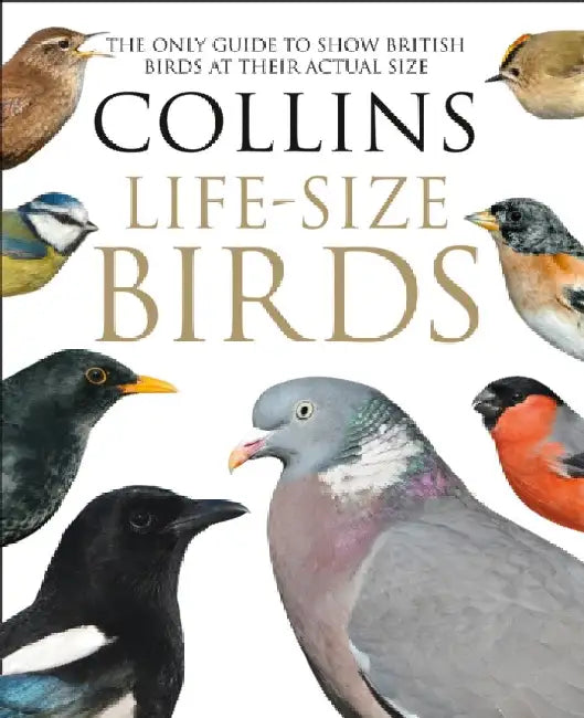 Collins Life-Size Birds: The Only Guide to Show British Birds at Their Actual Size by Paul Sterry