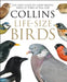 Collins Life-Size Birds: The Only Guide to Show British Birds at Their Actual Size by Paul Sterry
