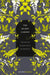 The Secret Garden by Frances Hodgson Burnett