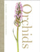 Orchids by Henrik Aerenlund Pedersen