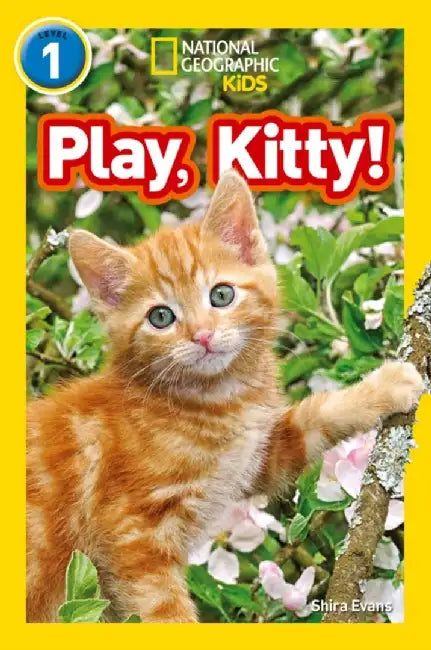 Play, Kitty! by Shira Evans