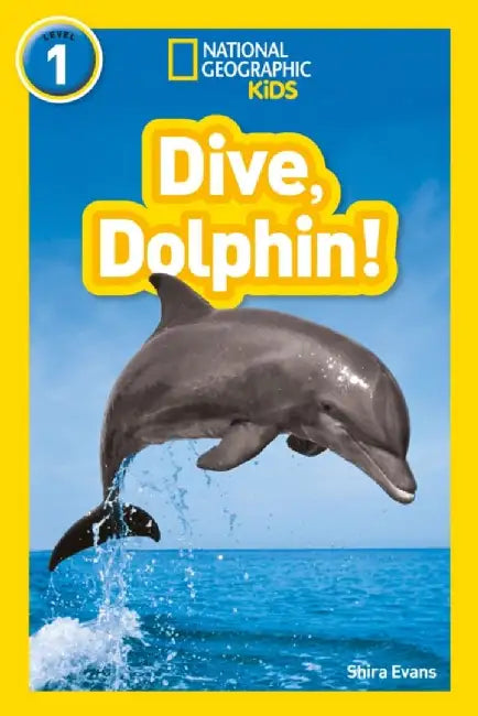 Dive, Dolphin! by Shira Evans