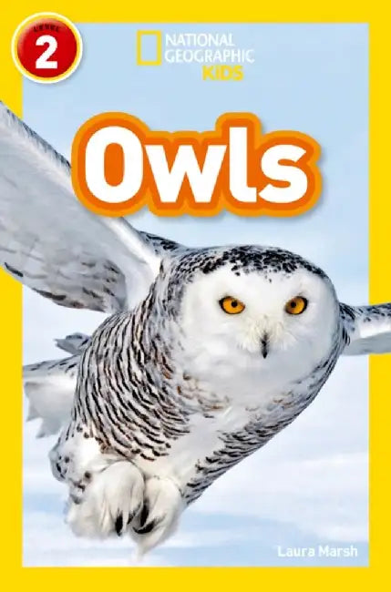 Owls by Laura Marsh
