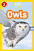 Owls by Laura Marsh