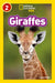 Giraffes by Laura Marsh